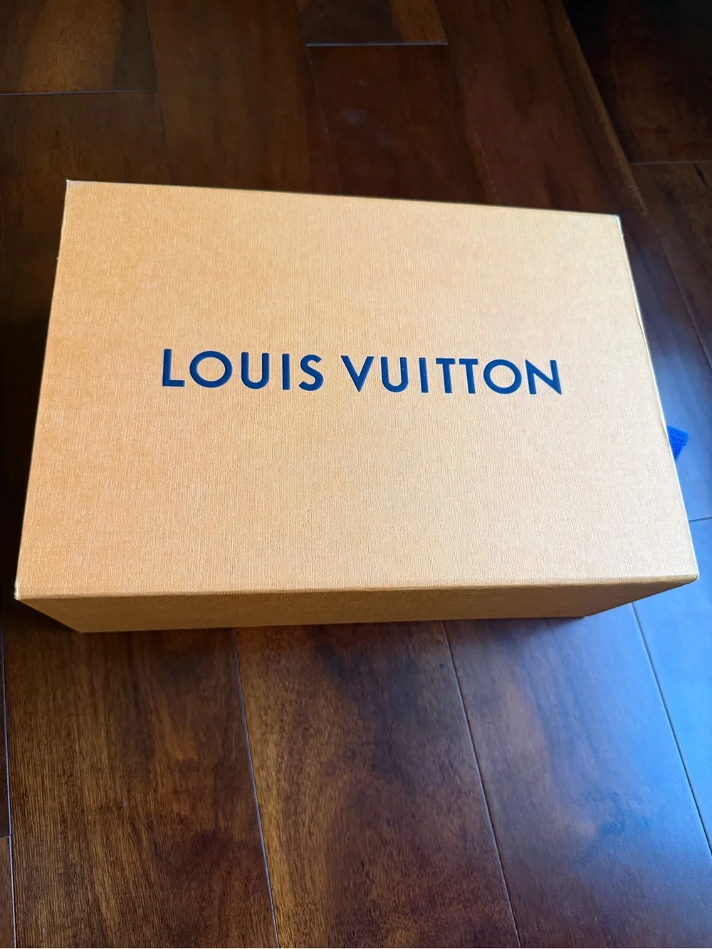 Louis Vuitton stylish louis